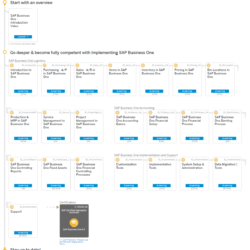 sap business one 9.2 training